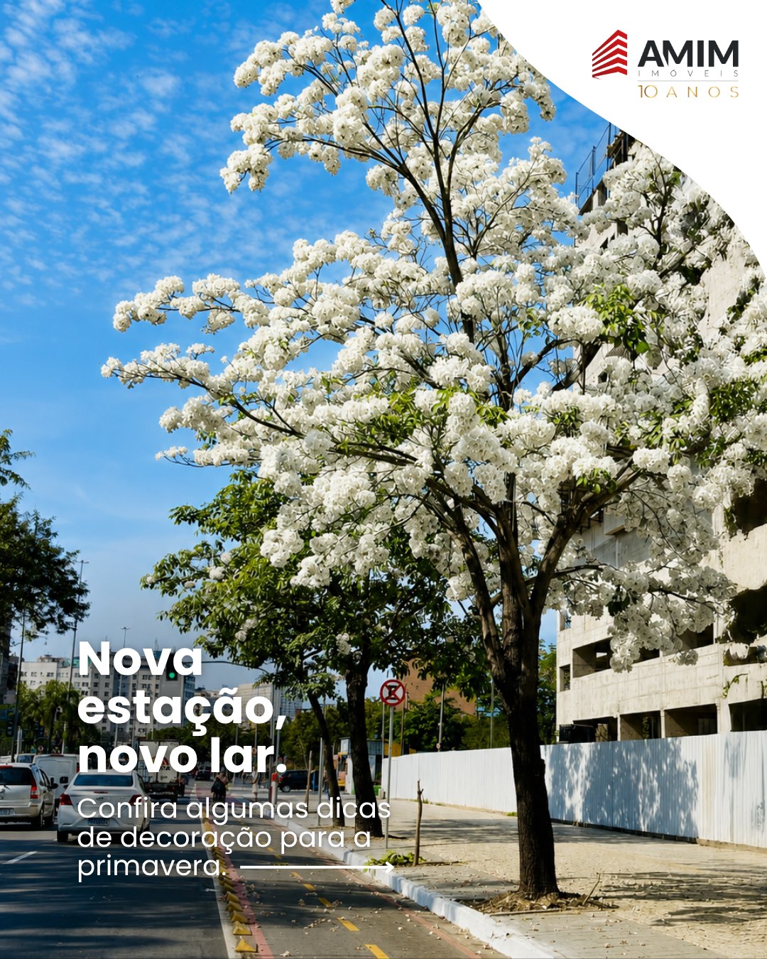Post do Instagram Amim Imóveis